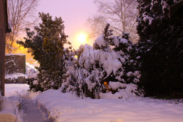 Happy Holidays, dear HamsterTracker-Dudes and -Dudettes !