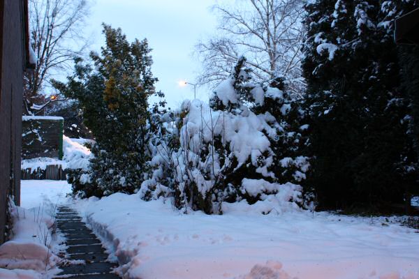 Happy Holidays, dear HamsterTracker-Dudes and -Dudettes !