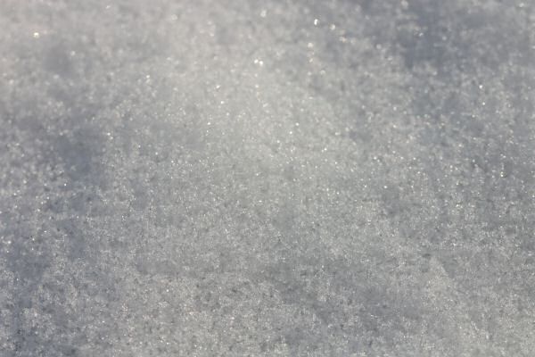 Lucy in her Basement