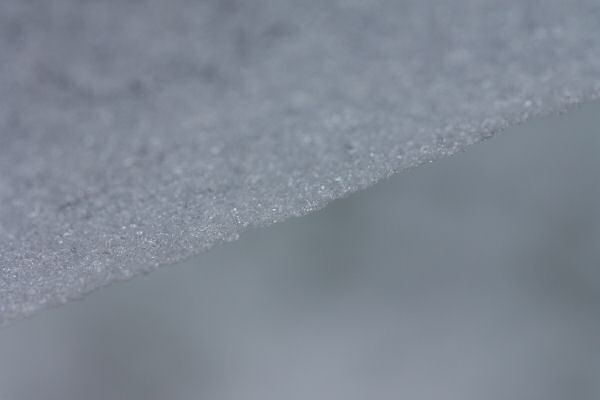 Lucy in her Basement