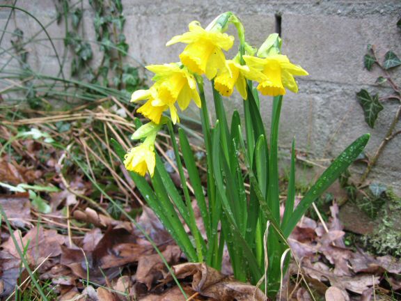 You wouldn't want to be this treat.