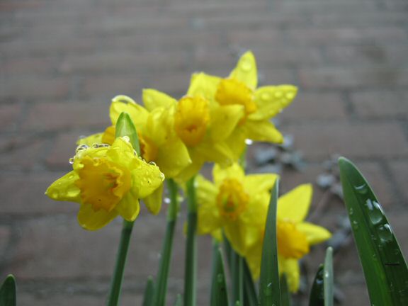 You wouldn't want to be this treat.