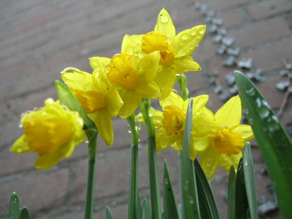 You wouldn't want to be this treat.