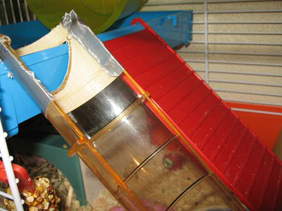 Building a stairway for my hamster Lucy.