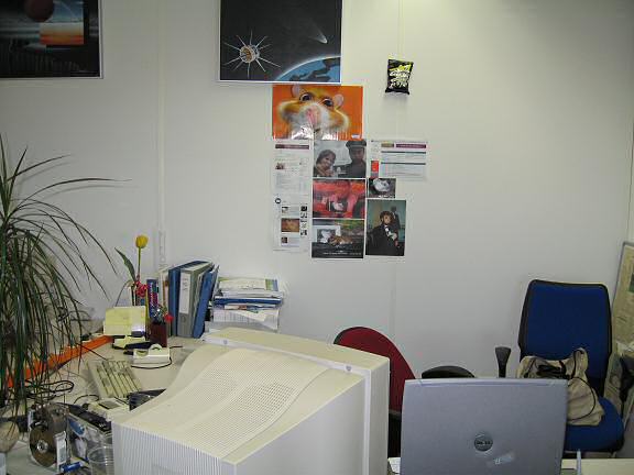 My hamster Lucy promotion at the office!