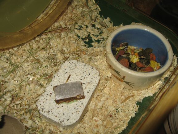 Bedroom Clean for Lucy (part II).