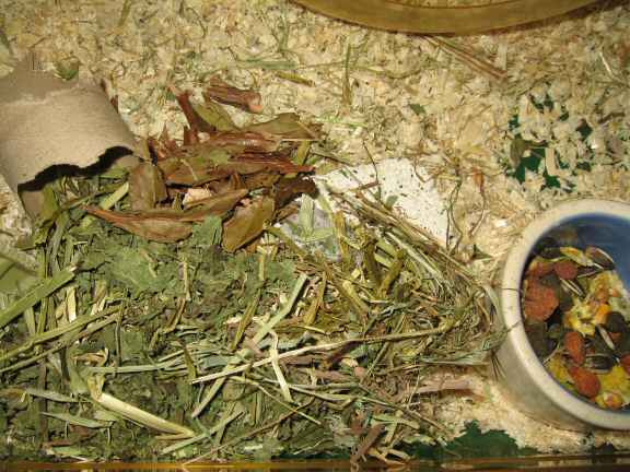 Bedroom Clean for Lucy (part II).