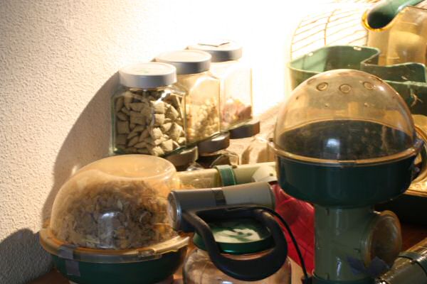 Lucy's teat stock. Lucy's teat stock.