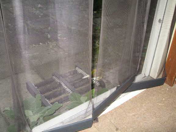 A VIP-Visit at HamsterTracker.com.