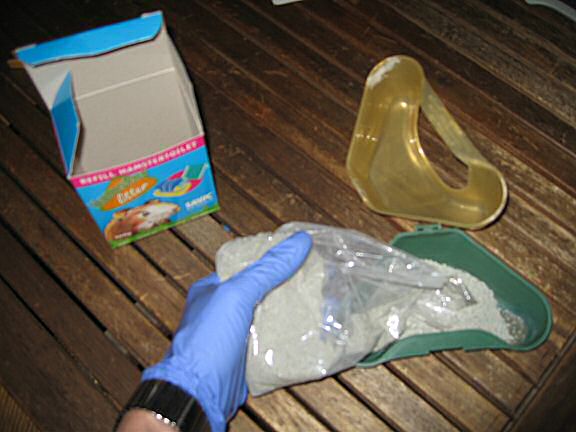 Mathijs on Valentines day at HamsterTracker.com.