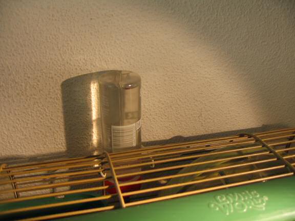 Cleaning, Lucy's waterbottle.