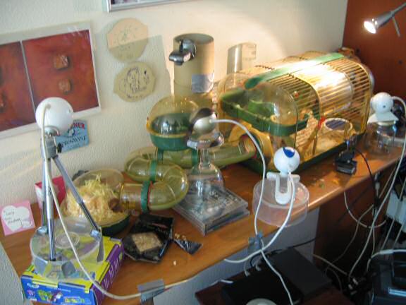 Cleaning, Lucy's waterbottle.