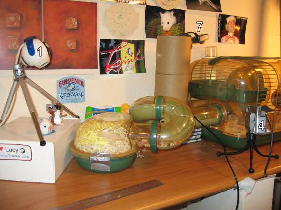 Webcams overview on how they are placed near the cage.