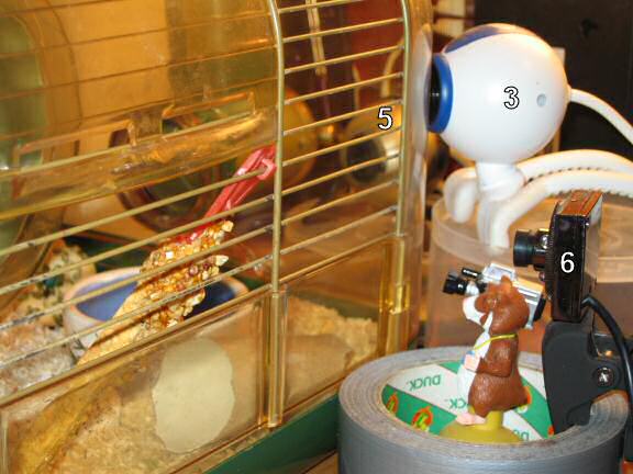 Webcams overview on how they are placed near the cage.