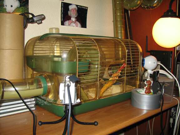 Webcams overview on how they are placed near the cage.