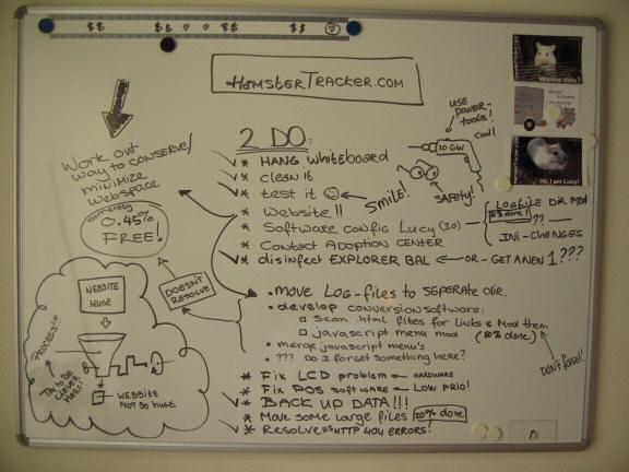 The latest that HamsterTracker.com has got to do.