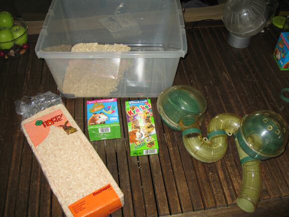 Fresh new woodshavings for Lucy.