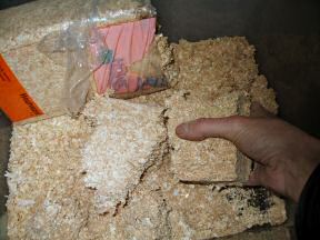 Fresh new woodshavings for Lucy.