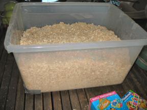 Fresh new woodshavings for Lucy.