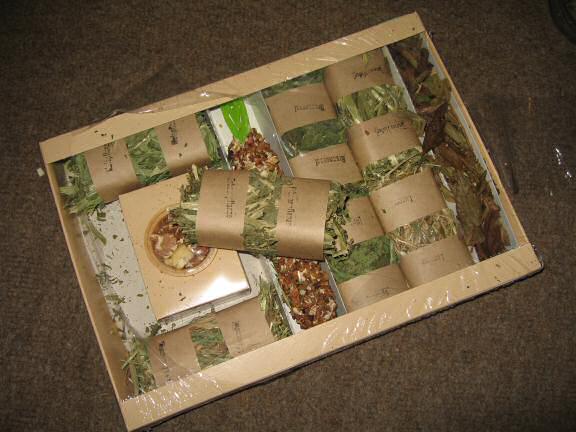 World Animal day 2008, with my hamster Lucy.