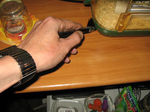 World Animal day 2008, with my hamster Lucy.