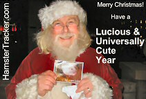 Merry Christmas! Have a Lucious & Universally Cute Year!