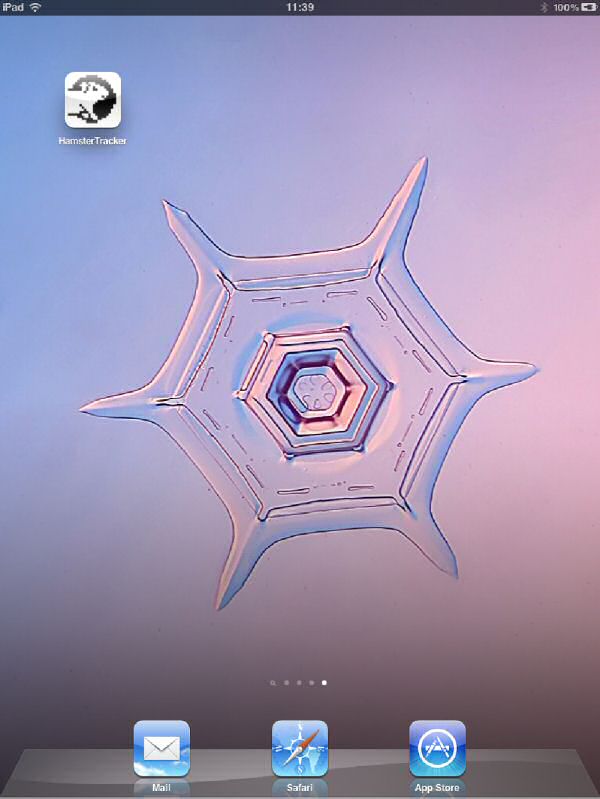 Bookmarking HamsterTracker.com on an iPad/iPod Touch/iPhone.