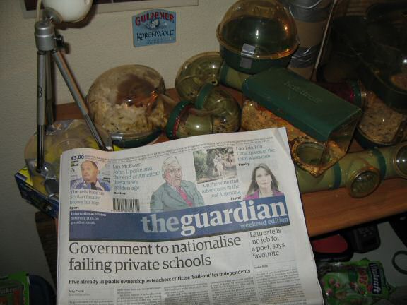 My hamster Lucy's Cage Maintenance.