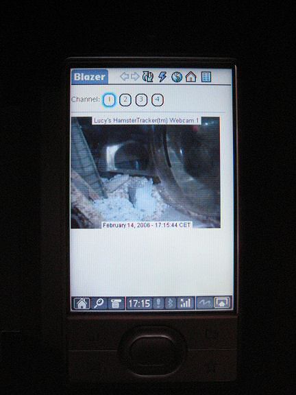 Picture of a Palm LifeDrive PDA displaying Lucy's webcam.