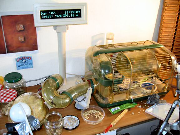 Picture of a display showing Lucy statistics.