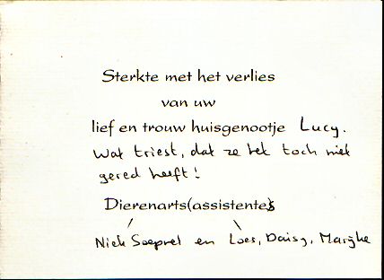 Inside of postcard from my vet and assitents!