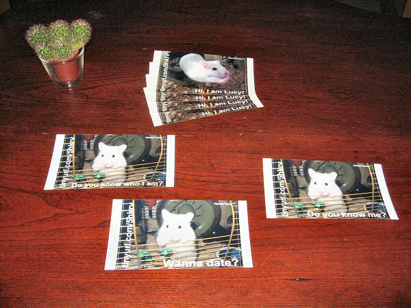 Picture of different HamsterTracker(tm) promotion cards.