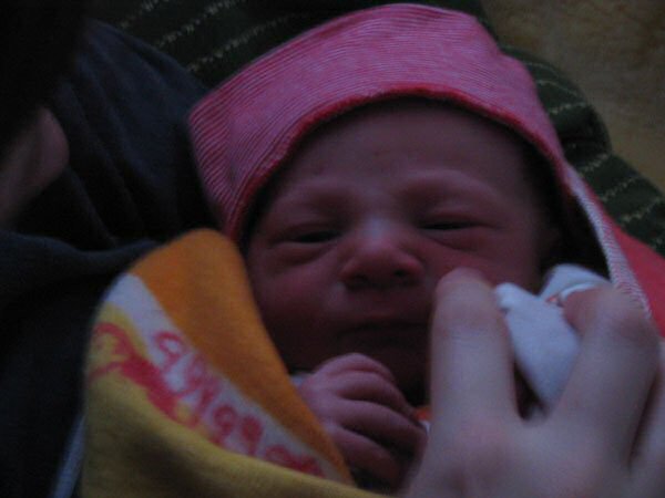 Picture of Lucy Malou