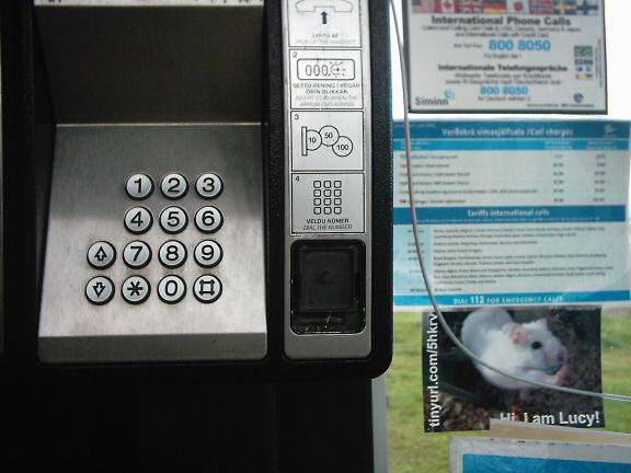 Sandra's (Iceland,) HamsterTracker promotion.