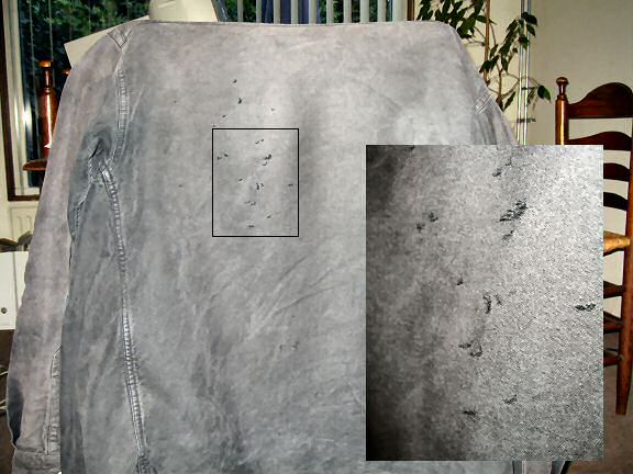 Lucy has wrecked my favorite shirt...