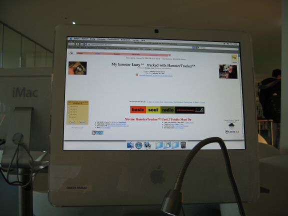 Browser problems at HamsterTracker.com