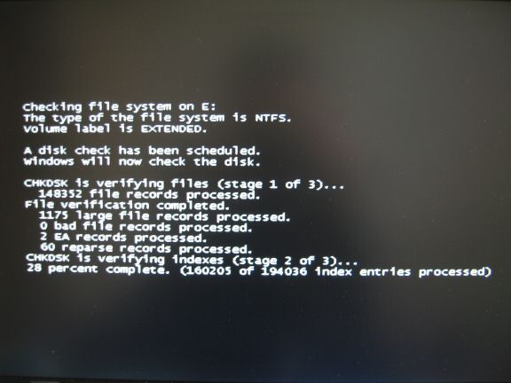 Geekin' hobby stuff while Spoiling my hamster Lucy.