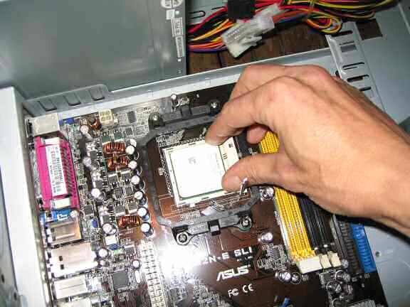 The HamsterTracker(tm) new server.