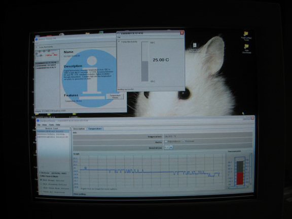 The development of the Intranet Temperature Webserver.