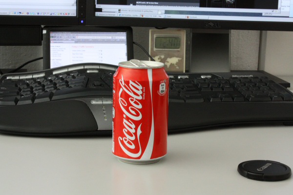 Camera fun; Lucy's Photo Improvement studies