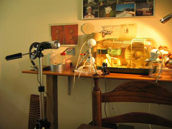 Introducing a new camera at the HamsterTracker.com office!