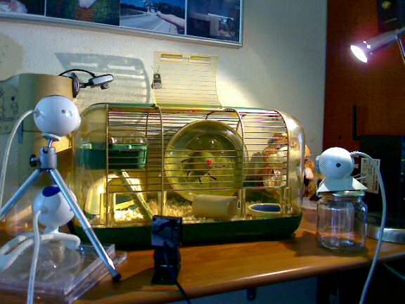 Introducing a new camera at the HamsterTracker.com office!