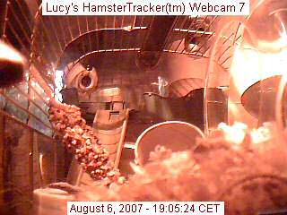 A webcam shot of the Trust Megapixel USB2 Webcam Live.