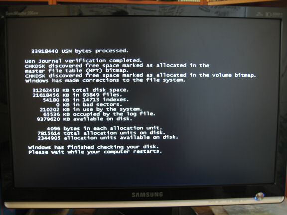 My hamster Lucy's advice on IT-stuff.