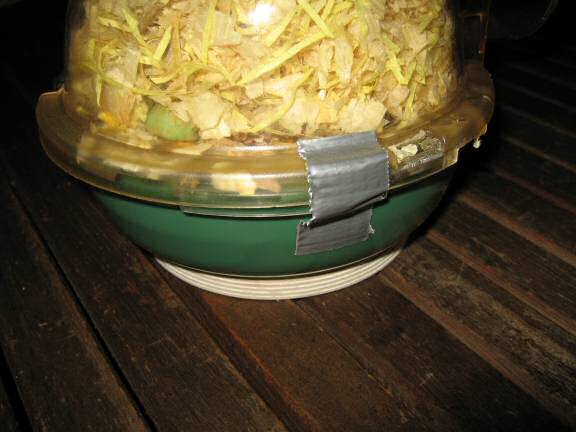 Making the iButton Temperature controlled proximity sensor.