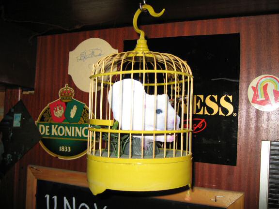 Picture of Virtual Lucy, exploring the caf.