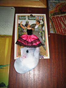 Picture of Virtual Lucy, exploring the caf.