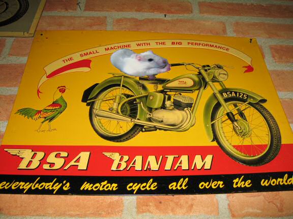 Virtual Lucy on a motorbike.