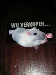 Virtual Lucy being 'on sale'.