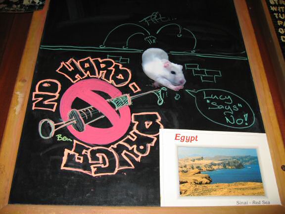 Lucy says NO to drugs!.